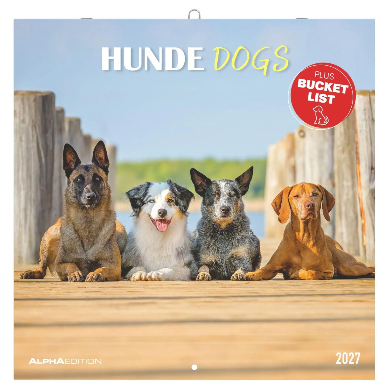 NEUMANN Wandkalender Hunde 2027