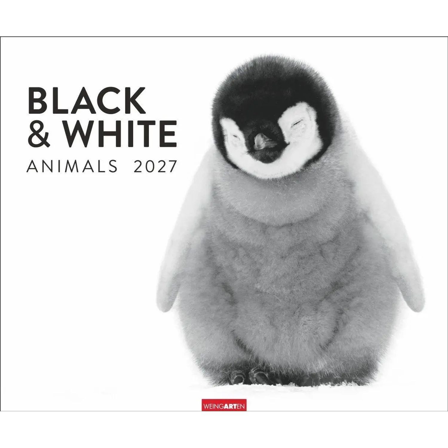 Wandkalender Black & White Animals 2027