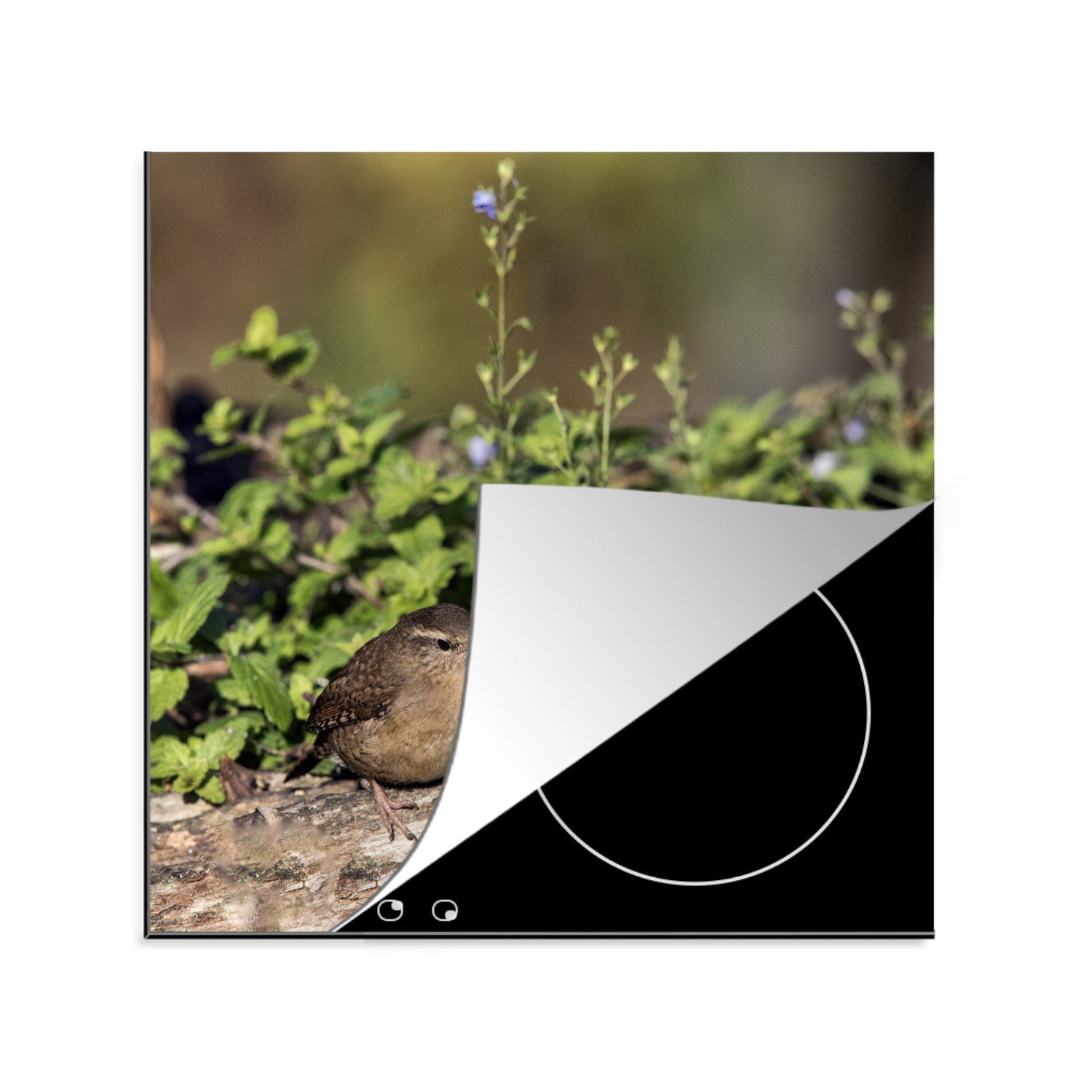 MuchoWow Herdblende-/Abdeckplatte Zaunkönig zwischen Grünpflanzen auf einem Baumstamm, Vinyl, (1 tlg), 78x78 cm, Ceranfeldabdeckung, Arbeitsplatte für küche