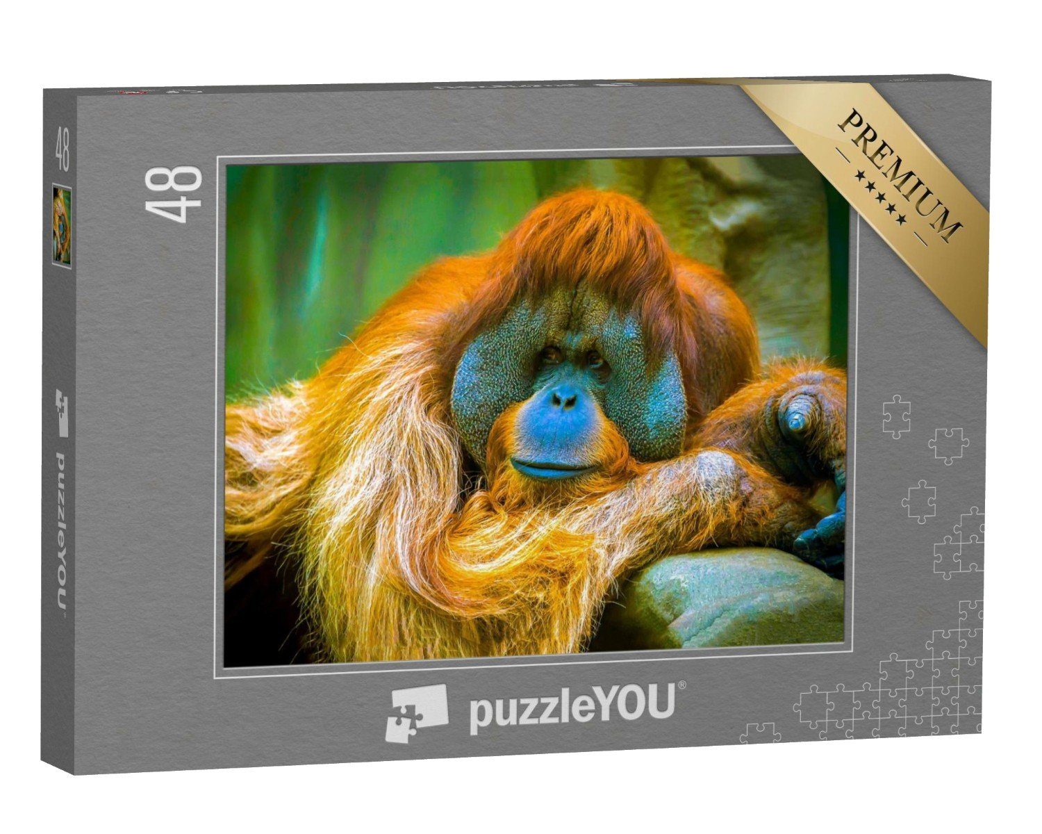 puzzleYOU Puzzle Der Orang-Utan ist in einer Träumerei, 48 Puzzleteile, puzzleYOU-Kollektionen Orang-Utan, Tiere in Dschungel & Regenwald