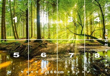 murimage® Fototapete Fototapete Wald 366 x 254 cm inklusive Kleister Bäume Holz Sonne Natur Schlafzimmer Wohnzimmer