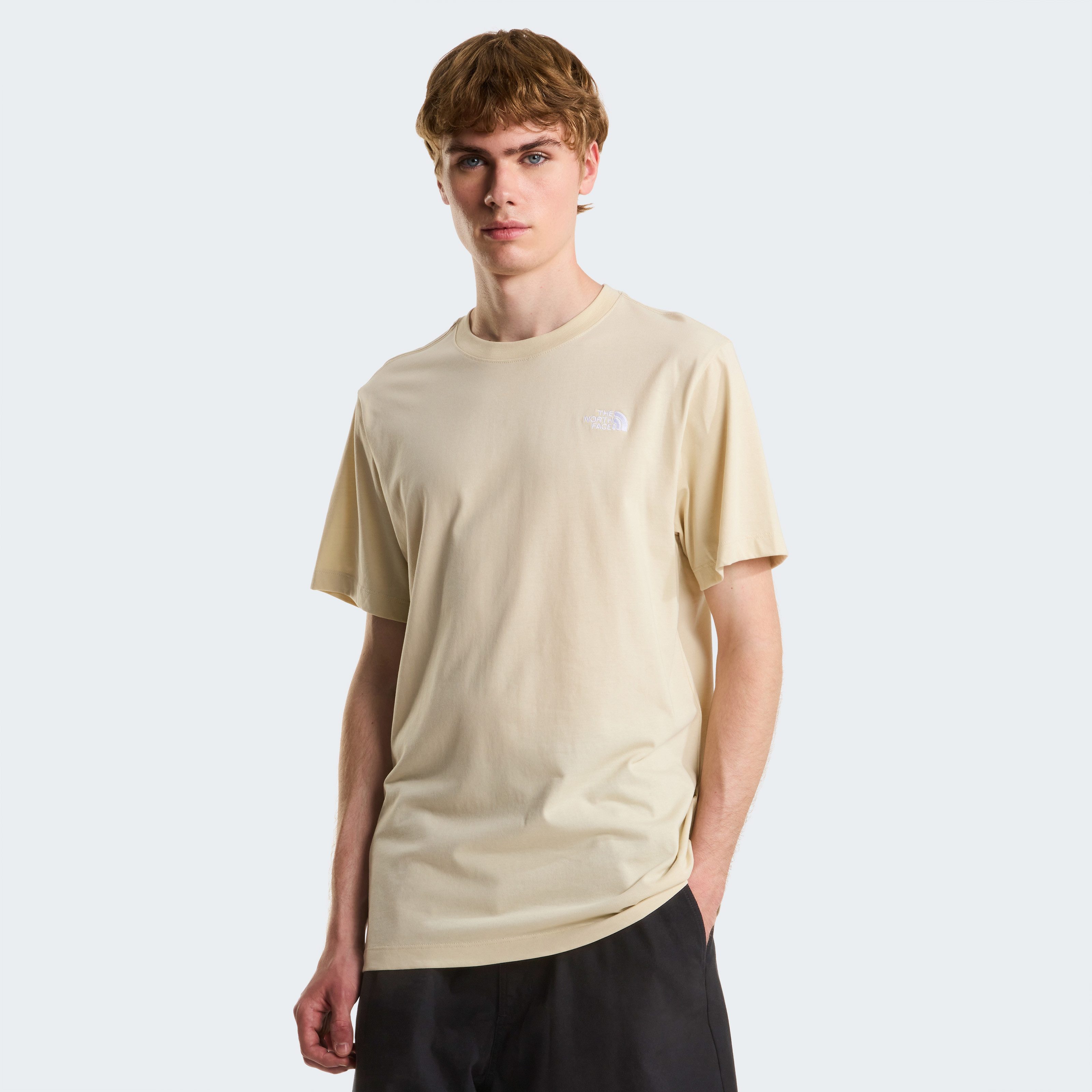 The North Face T-Shirt M EVOLUTION SIMPLE DOME REGULAR SHORT SL (1-tlg)
