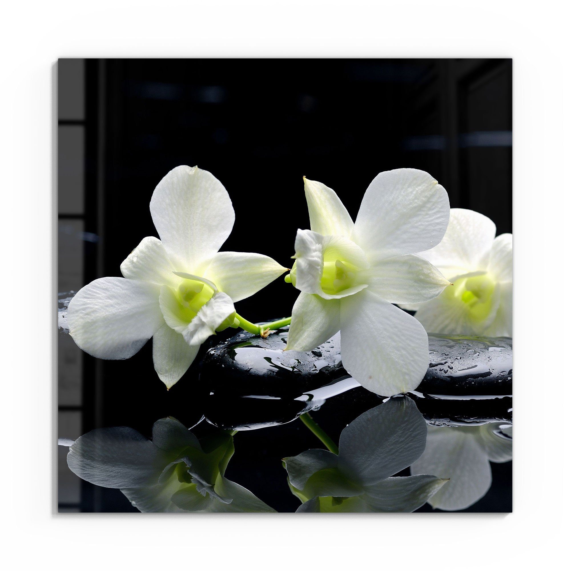 DEQORI Glasbild 'Orchidee mit Zen-Steinen', 'Orchidee günstig online kaufen