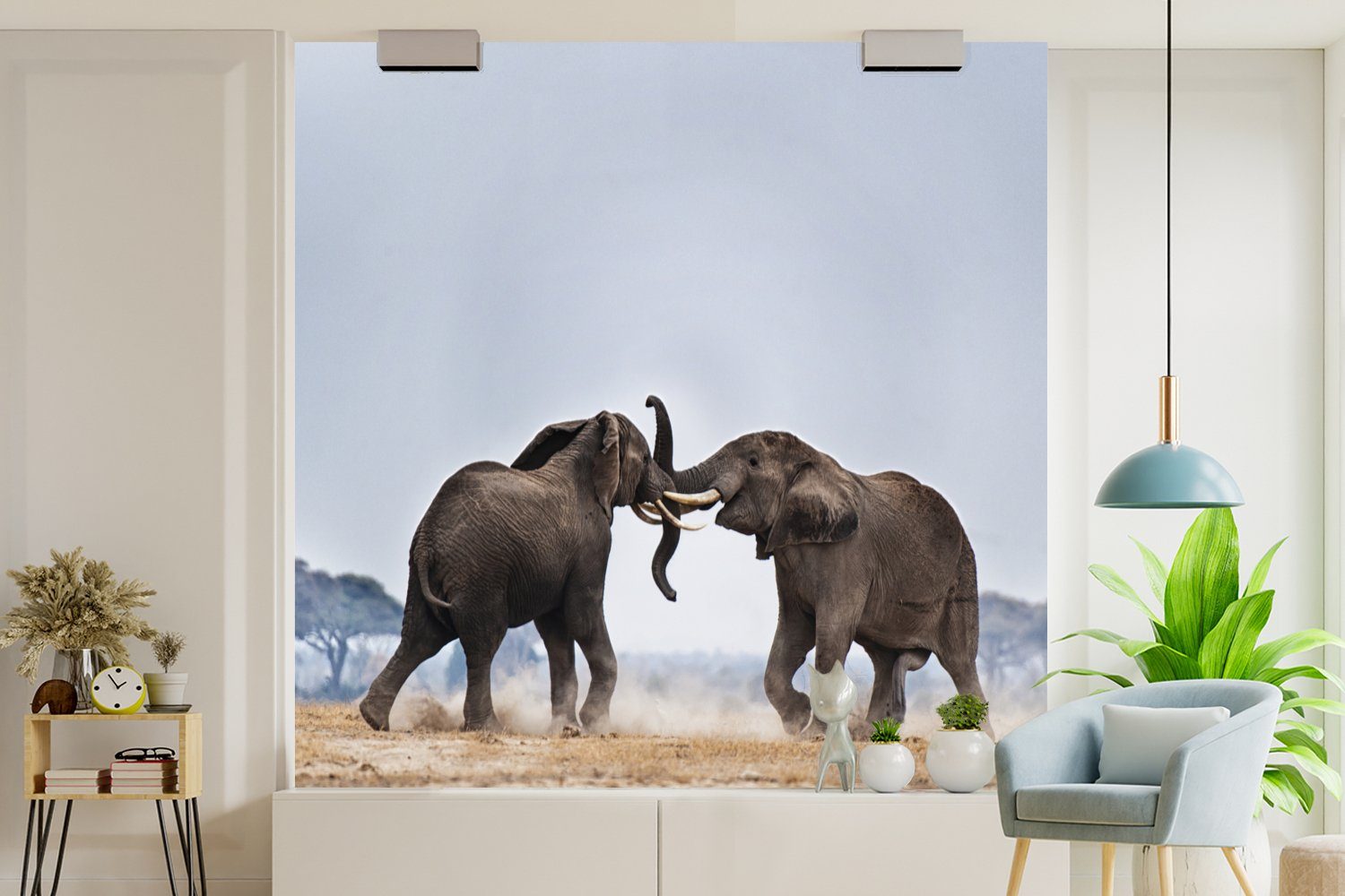 MuchoWow bedruckt, Küche, St), Fototapete Fototapete - Matt, Elefant Vliestapete - - Flachland Tiere für (4 Natur, Schlafzimmer Wohnzimmer