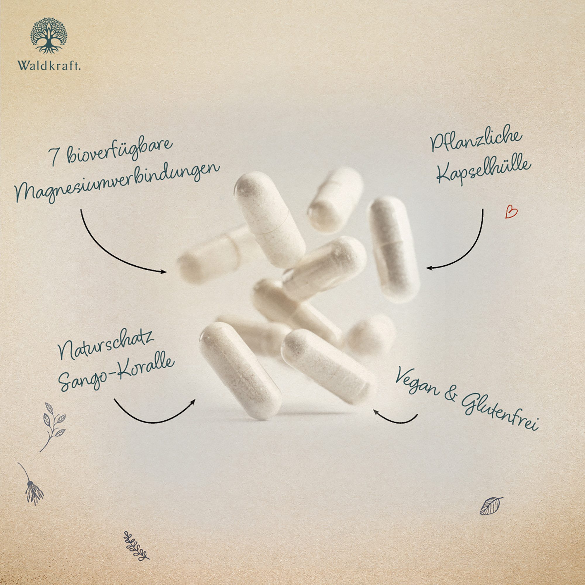 Waldkraft. Erdling Magnesium Komplex Kapseln, mit 7 hochwertige Magnesiumformen für Muskeln, Nerven, Knochen und mentale Balance à 120 St., 78 g