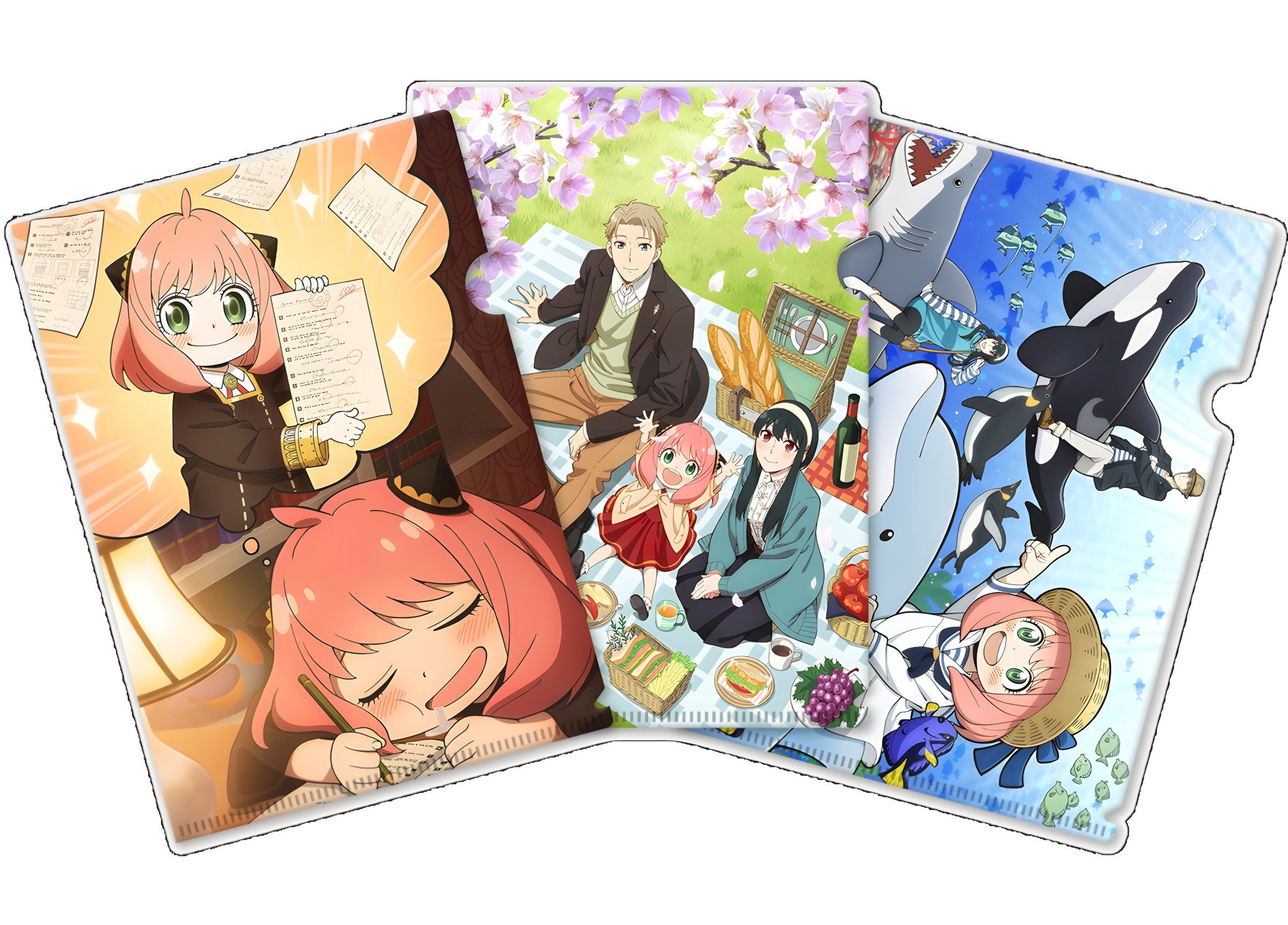 Crunchyroll Organizer Clearfile Set/Folien A4 - Spy x Family (3 Stück) (1 St)