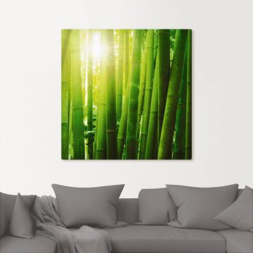 Artland Leinwandbild Asiatischer Bambuswald im Morgenlicht, Gräser (1 St), auf Keilrahmen gespannt