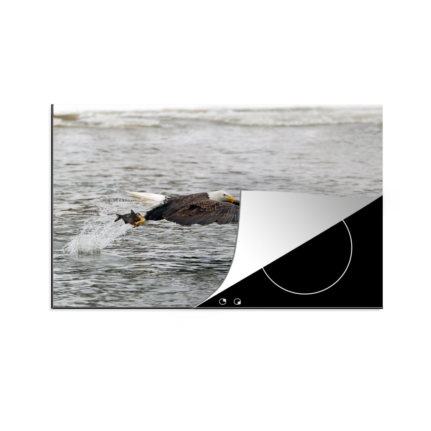 MuchoWow Herdblende-/Abdeckplatte Weißkopfseeadler fängt einen Fisch, Vinyl, (1 tlg), 81x52 cm, Induktionskochfeld Schutz für die küche, Ceranfeldabdeckung