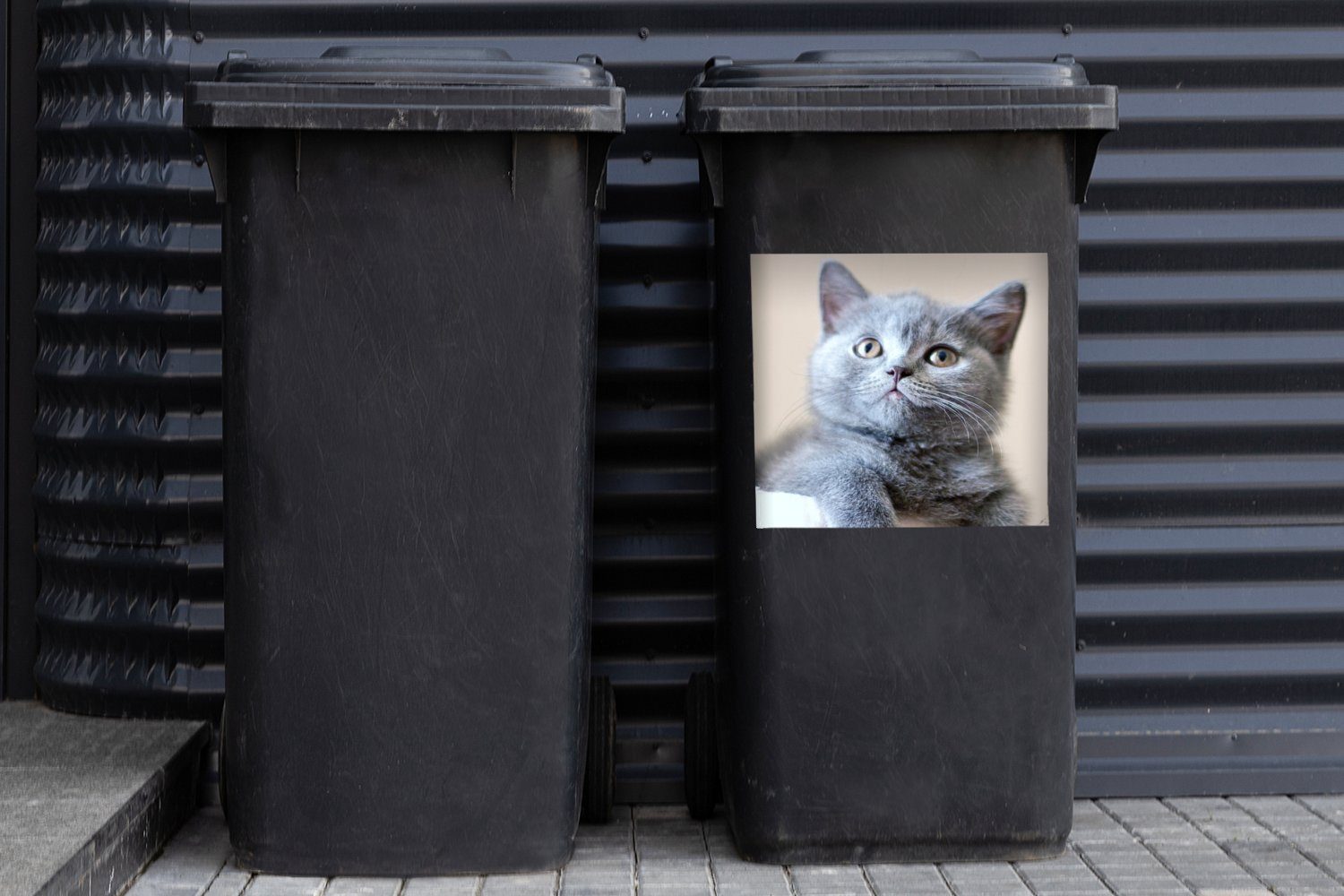 MuchoWow Wandsticker Mülltonne, Porträt St), Container, einer Abfalbehälter Sticker, Mülleimer-aufkleber, (1 Kurzhaarfrisur