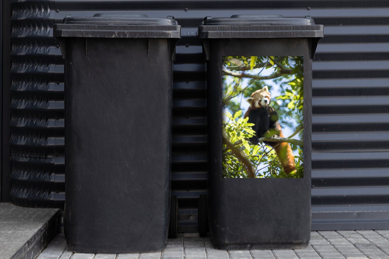 Mülltonne, Panda - (1 St), - Container, Baum MuchoWow Mülleimer-aufkleber, Wandsticker Pflanzen Abfalbehälter Sticker,