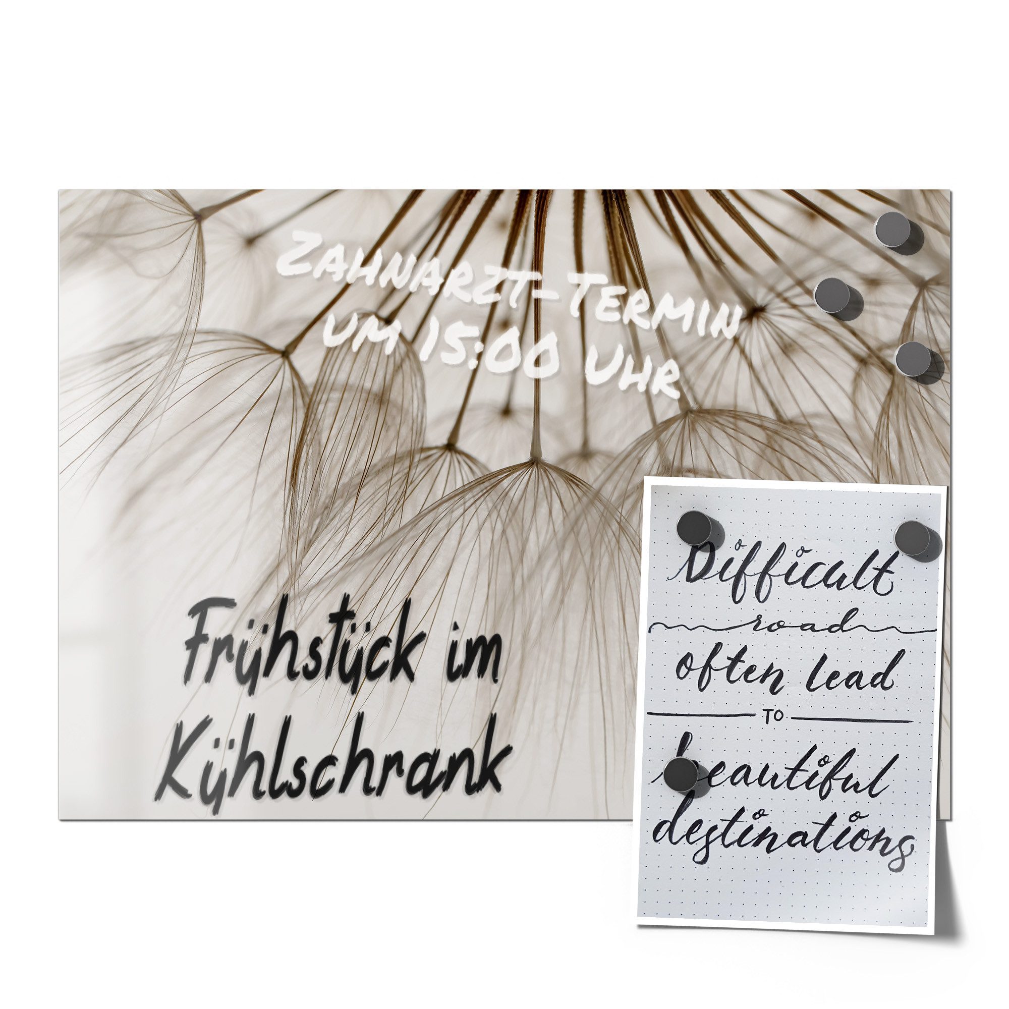 DEQORI Magnetfolie 'Pusteblumenpoesie', beschreibbar universal Magnetmatte magnetisch Folie Planer Kalender