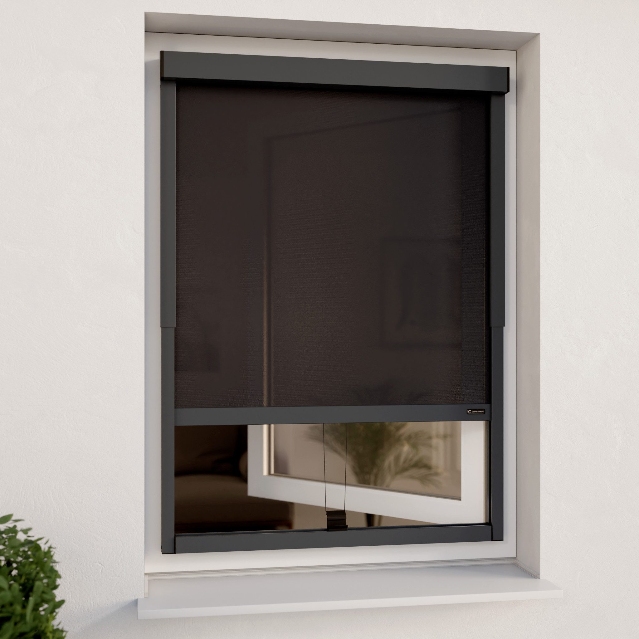 Rollo Außenrollo ohne Bohren (Grau, Transparent) für Fenster CLIP & SHADE, CLIP & SHADE