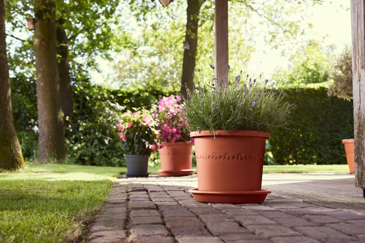 Elho Blumentopf Elho Blumentopf Algarve Cilindro Ø 25 x 21 cm