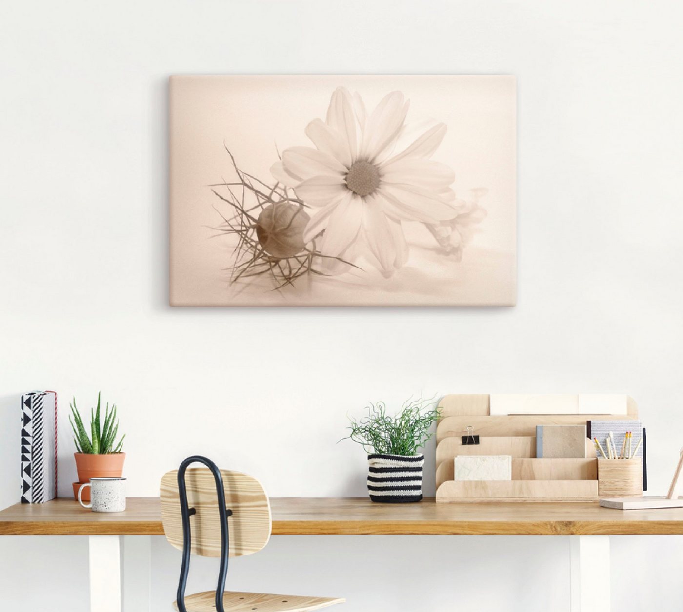 Artland Wandbild »Chrysantheme«, Blumen (1 Stück), in vielen Größen & Produktarten - Alubild / Outdoorbild für den Außenbereich, Leinwandbild, Poster, Wandaufkleber / Wandtattoo auch für Badezimmer geeignet-HomeTrends