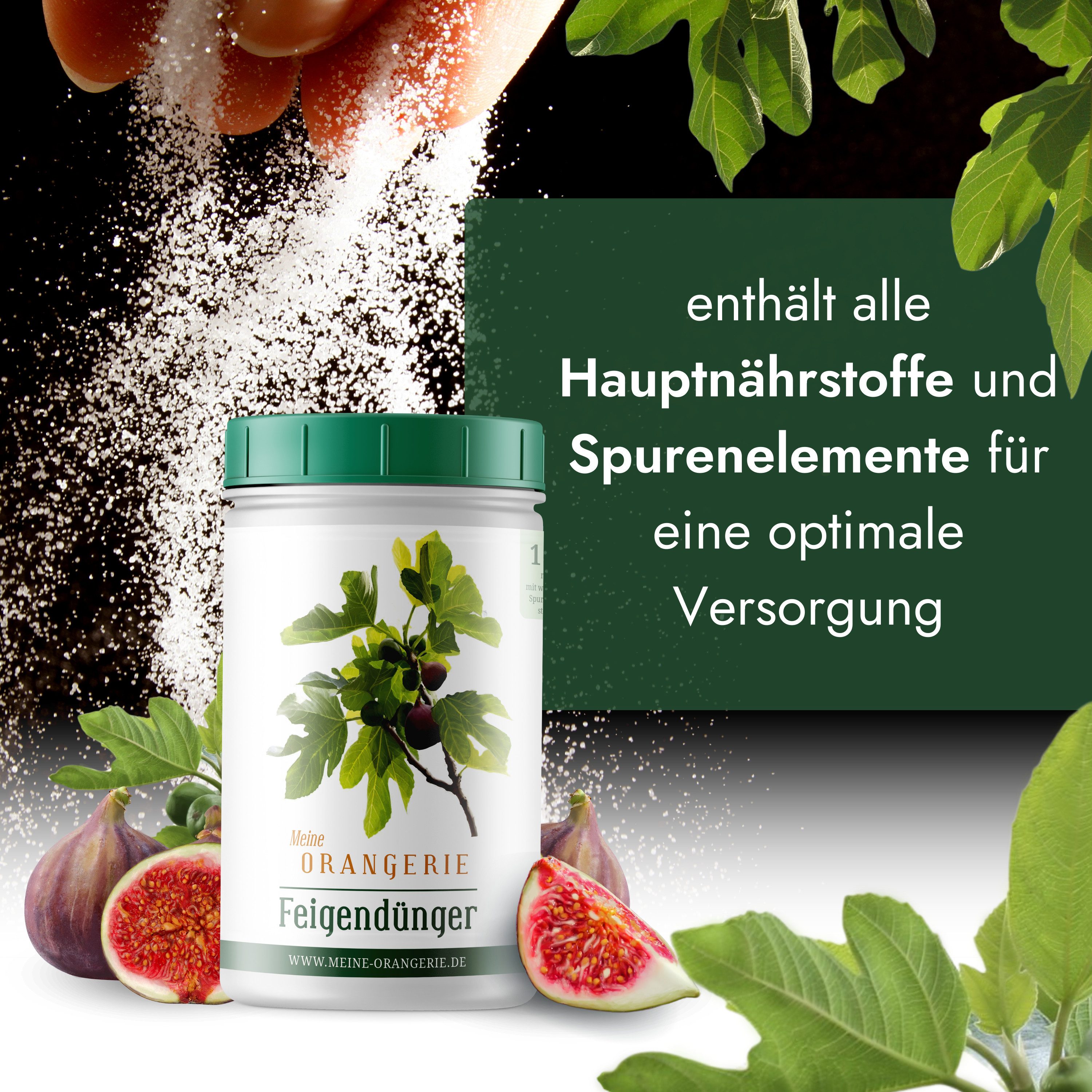 Meine Orangerie Spezialdünger Premium Pflanzendünger für alle Feigenbäume, Dose, 1-St., mineralisches Nährsalz für starke Pflanzen & hohe Widerstandskraft, Profi-Feigendünger für gesunde Blätter & bessere Fruchtbildung