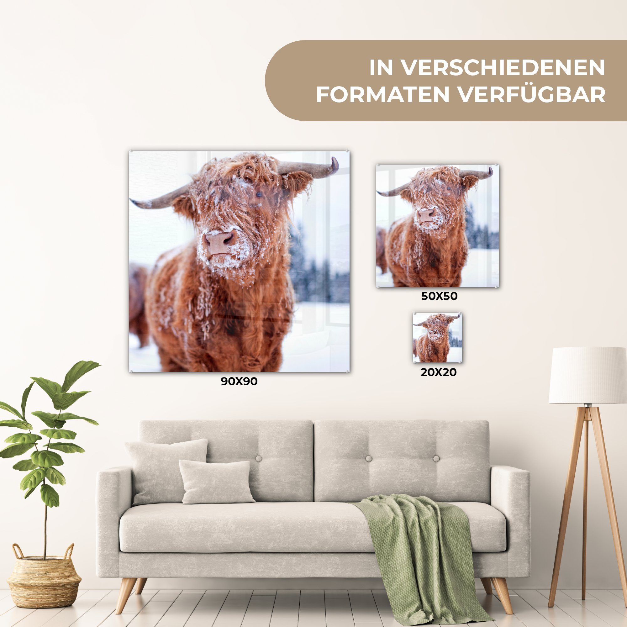 - Haut, Schottischer (1 Wandbild Wanddekoration - auf Acrylglasbild Glasbilder Glas Highlander - MuchoWow St), Glas Schnee Foto - auf Bilder -