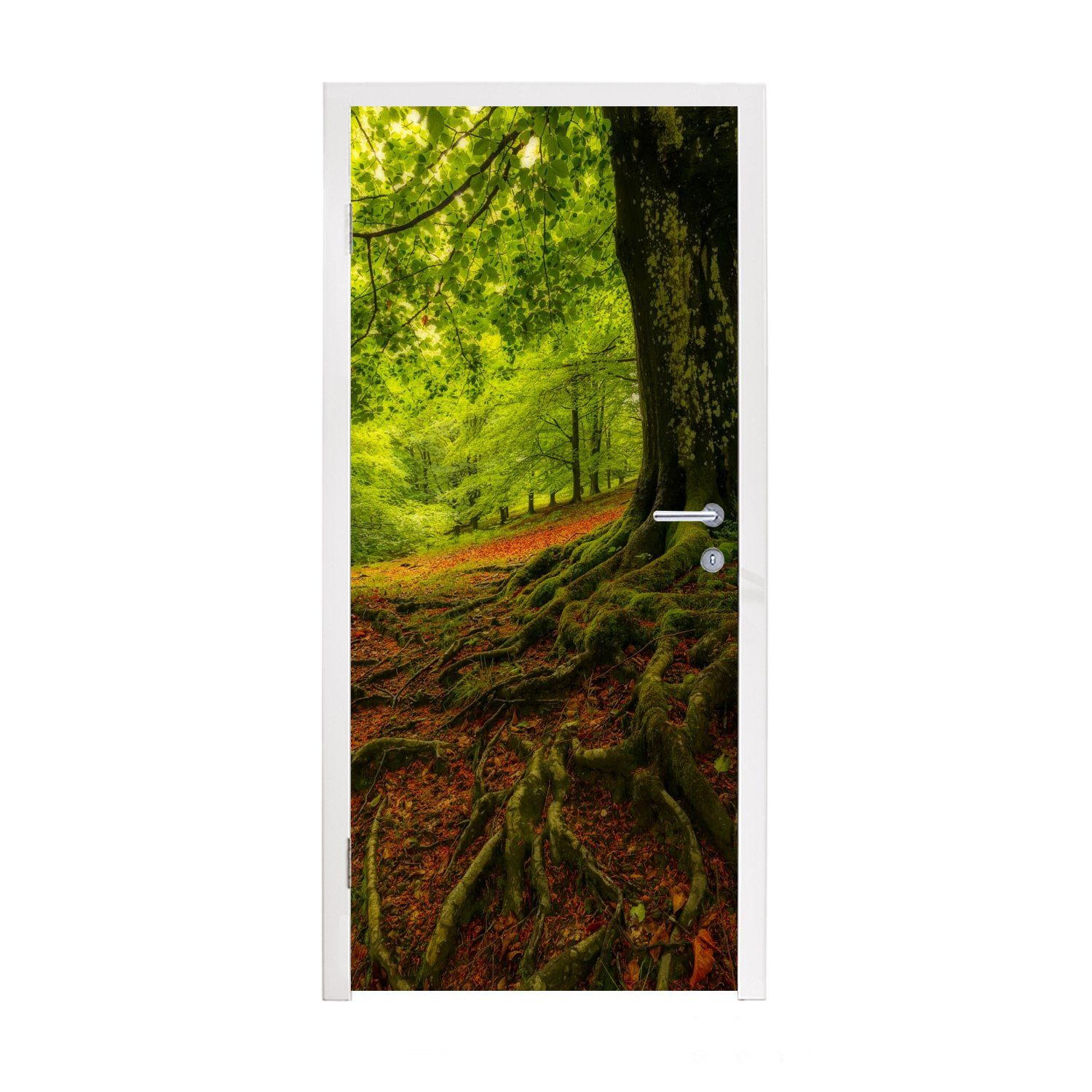 MuchoWow Türtapete Baum Tür, Wald für - cm - 75x205 Türaufkleber, St), (1 bedruckt, Herbstblätter, Matt, Fototapete