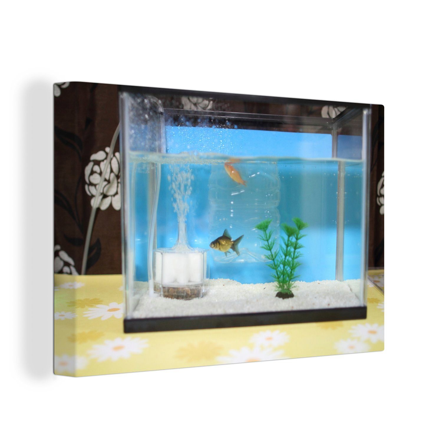 OneMillionCanvasses® Leinwandbild Zwei Fische in einem Aquarium, (1 St), Wandbild Leinwandbilder, Aufhängefertig, Wanddeko, 30x20 cm
