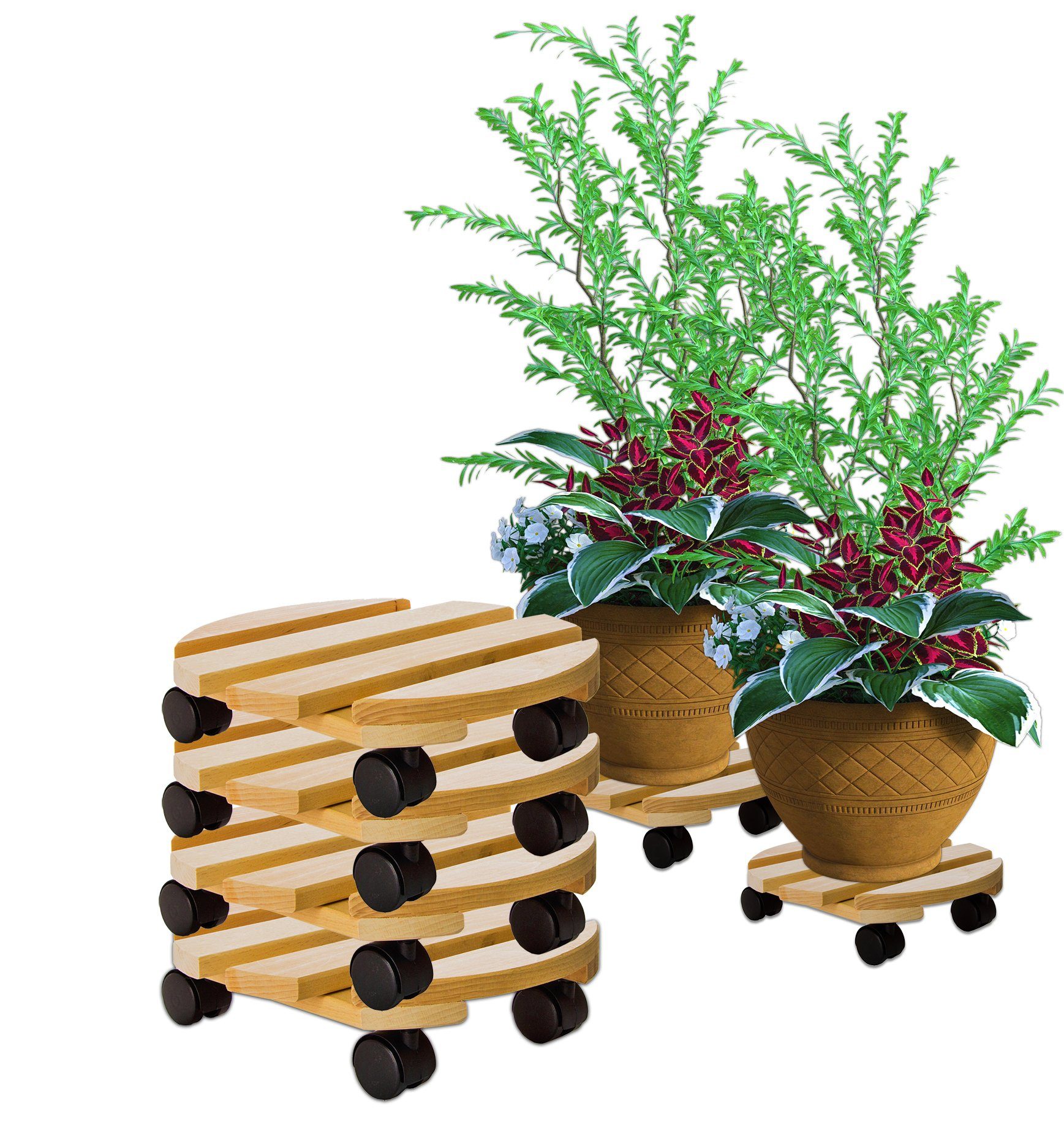 BigDean Blumentopfuntersetzer Pflanzenroller rund Buchenholz Holz günstig online kaufen