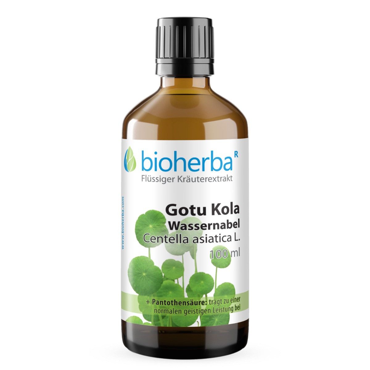 BIOHERBA R Bioherba Gotu Kola Wassernabel Centella asiatica L. Tinktur 100 ml Glasflasche, 1 er
