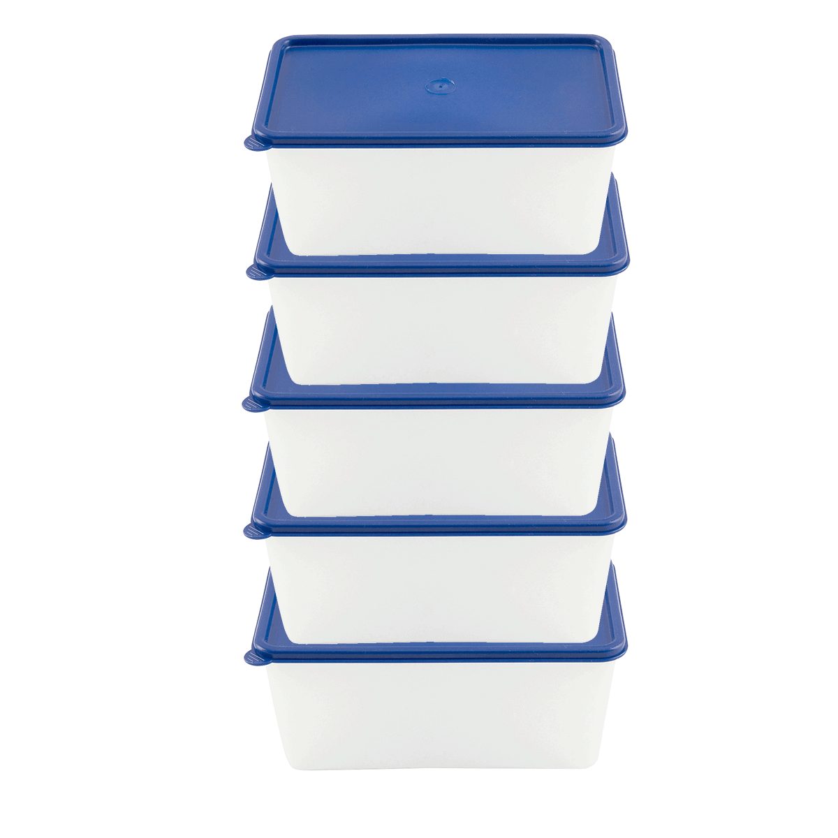 EUROHOME Vorratsdose Gefrierdosen Set 0,75L zum Frischhalten und Gefrieren,  Kunststoff, (1-tlg., Frischhaltedose im 5er Set), Gefrierdosen mit fest  Deckel - Vorratsdosen Set