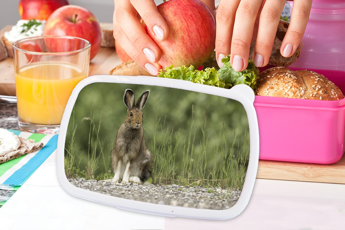 MuchoWow Lunchbox Hase - Tier (2-tlg), Mädchen, Snackbox, Erwachsene, Brotbox Gras, rosa Kunststoff, Kunststoff Brotdose Kinder, für 