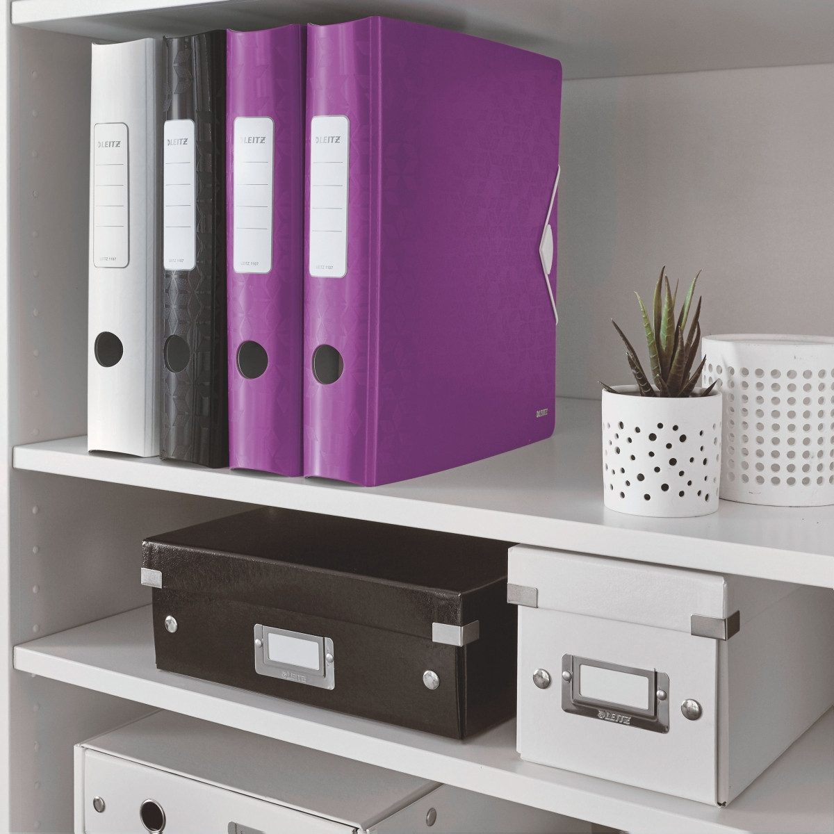 LEITZ Aktenordner Папки с файлами Active Wow 180 Grad 6cm violett