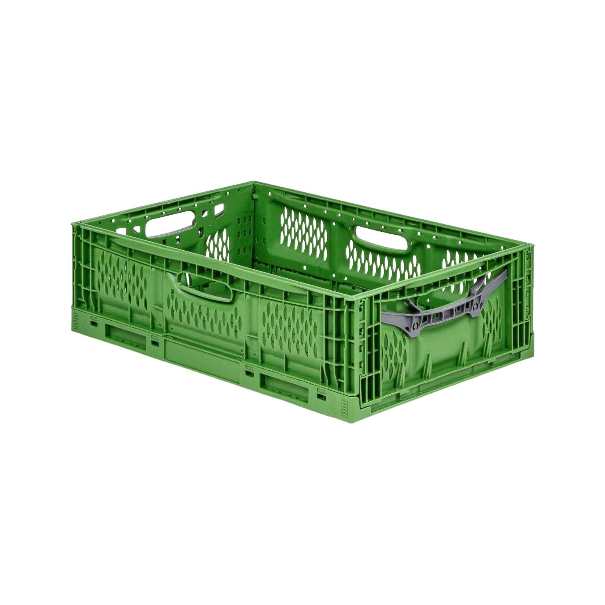 Faltbox Stabile Profi-Klappbox Chameleon in Industriequalität, 18x40x60cm, 35L