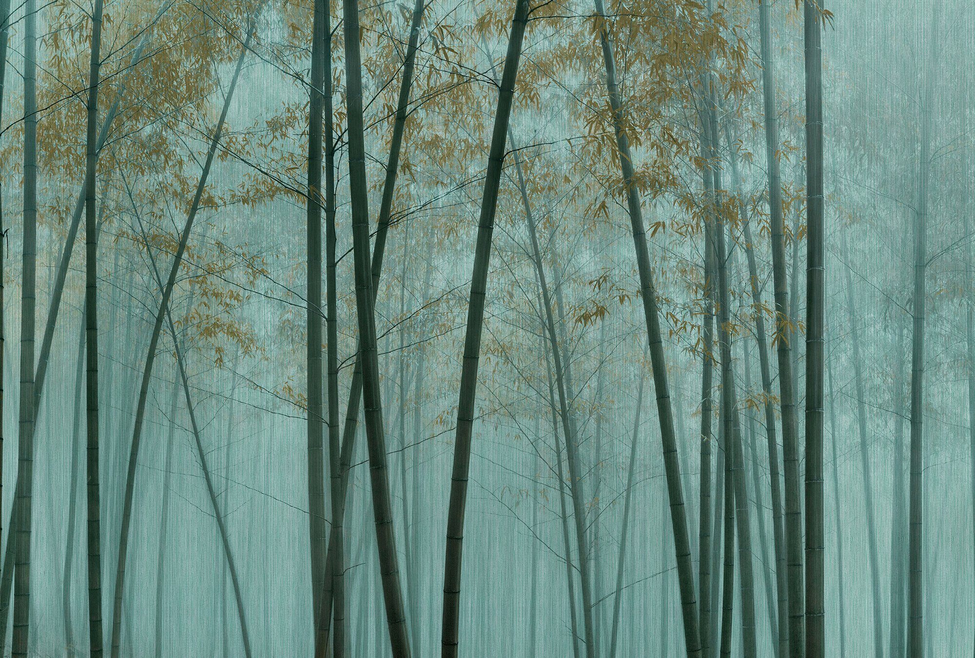 In Patel Fototapete Bamboo, Walls The Vlies, living glatt, by Wand walls grün