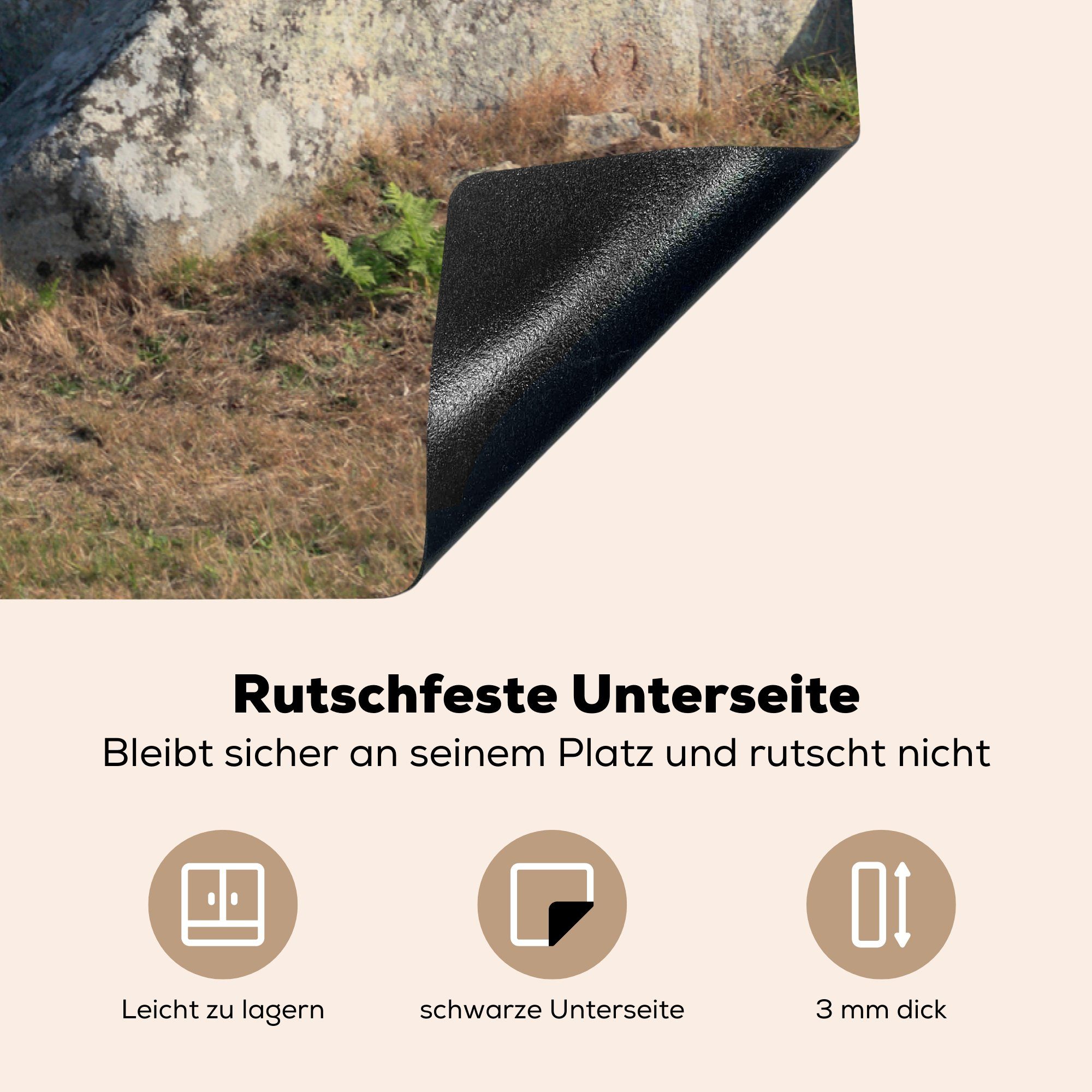 MuchoWow Herdblende-/Abdeckplatte Ein Dolmen aus Nähe, Vinyl, (1 Ceranfeldabdeckung Schutz küche, 81x52 Induktionskochfeld für die cm, der tlg)