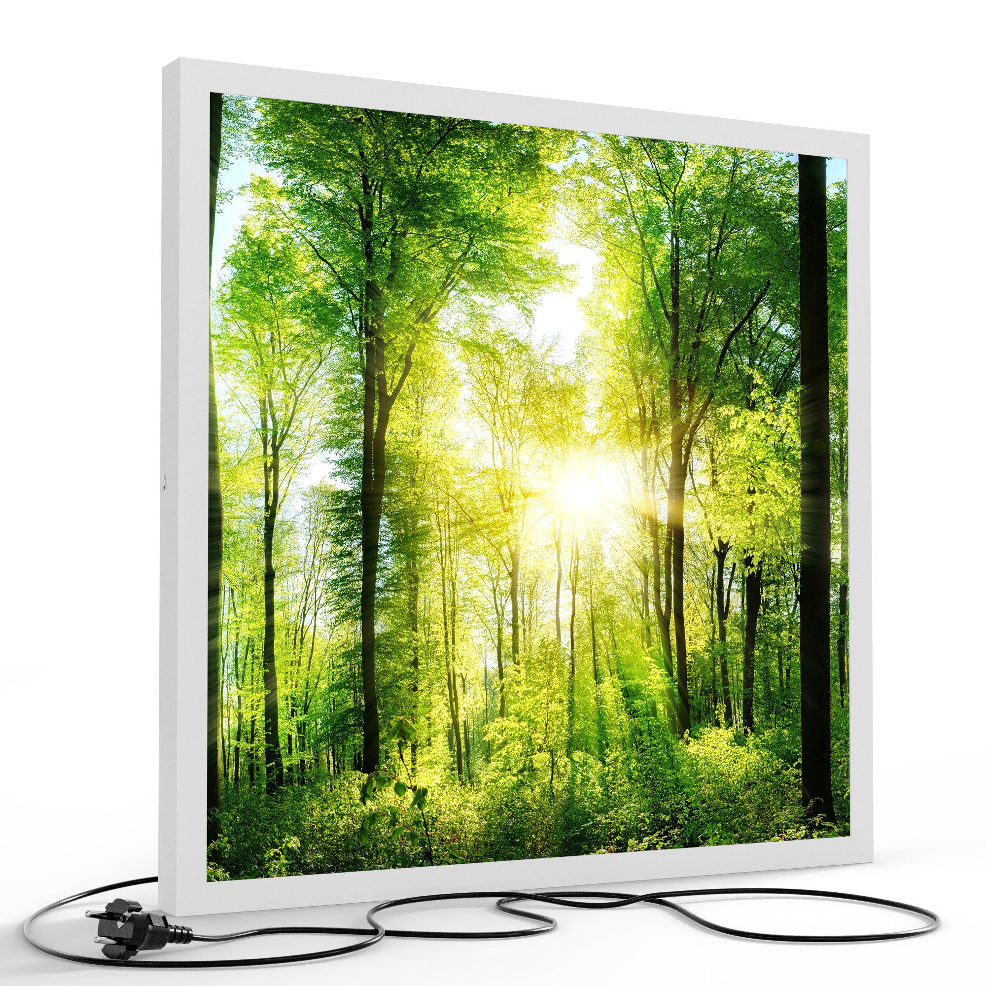 DEQORI LED-Bild 'Sonne durchbricht Wald', (1 St), LED Lampe Leuchte Leuchtb günstig online kaufen