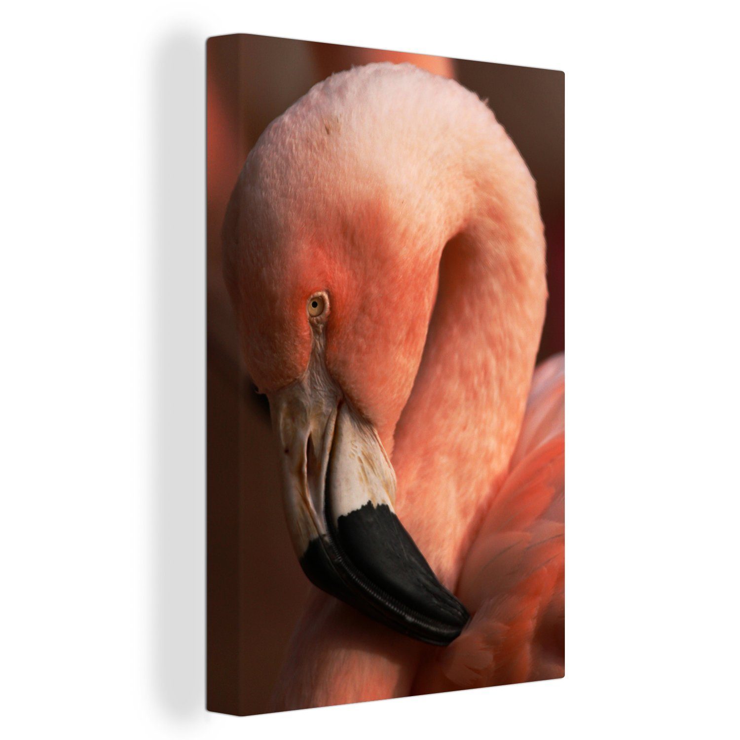 OneMillionCanvasses® Leinwandbild Nahaufnahme eines chilenischen Flamingos mit rosa Kopf, (1 St), Leinwandbild fertig bespannt inkl. Zackenaufhänger, Gemälde, 20x30 cm