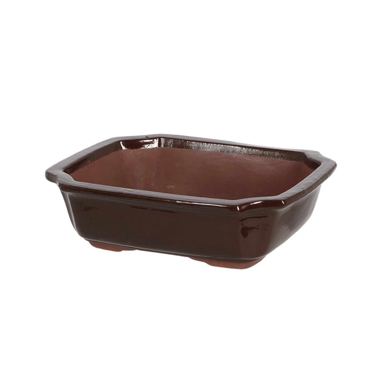 esschert design Blumentopf Esschert Bonsai Schale, rechteckig Gr. M