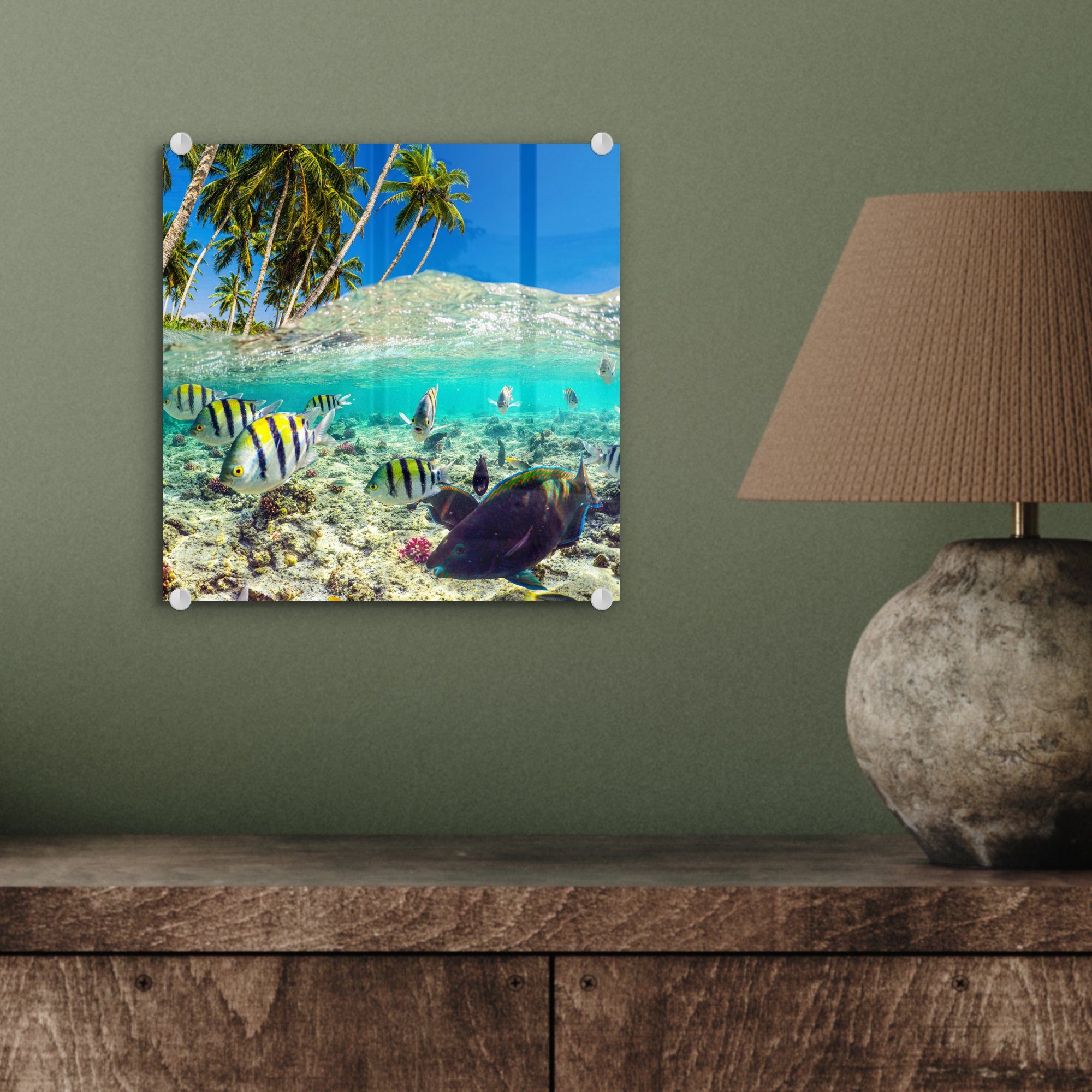 MuchoWow Acrylglasbild Meer Glasbilder - Wanddekoration Glas auf Glas - (1 - - Bilder Fische St), Wandbild - auf Korallen, Foto