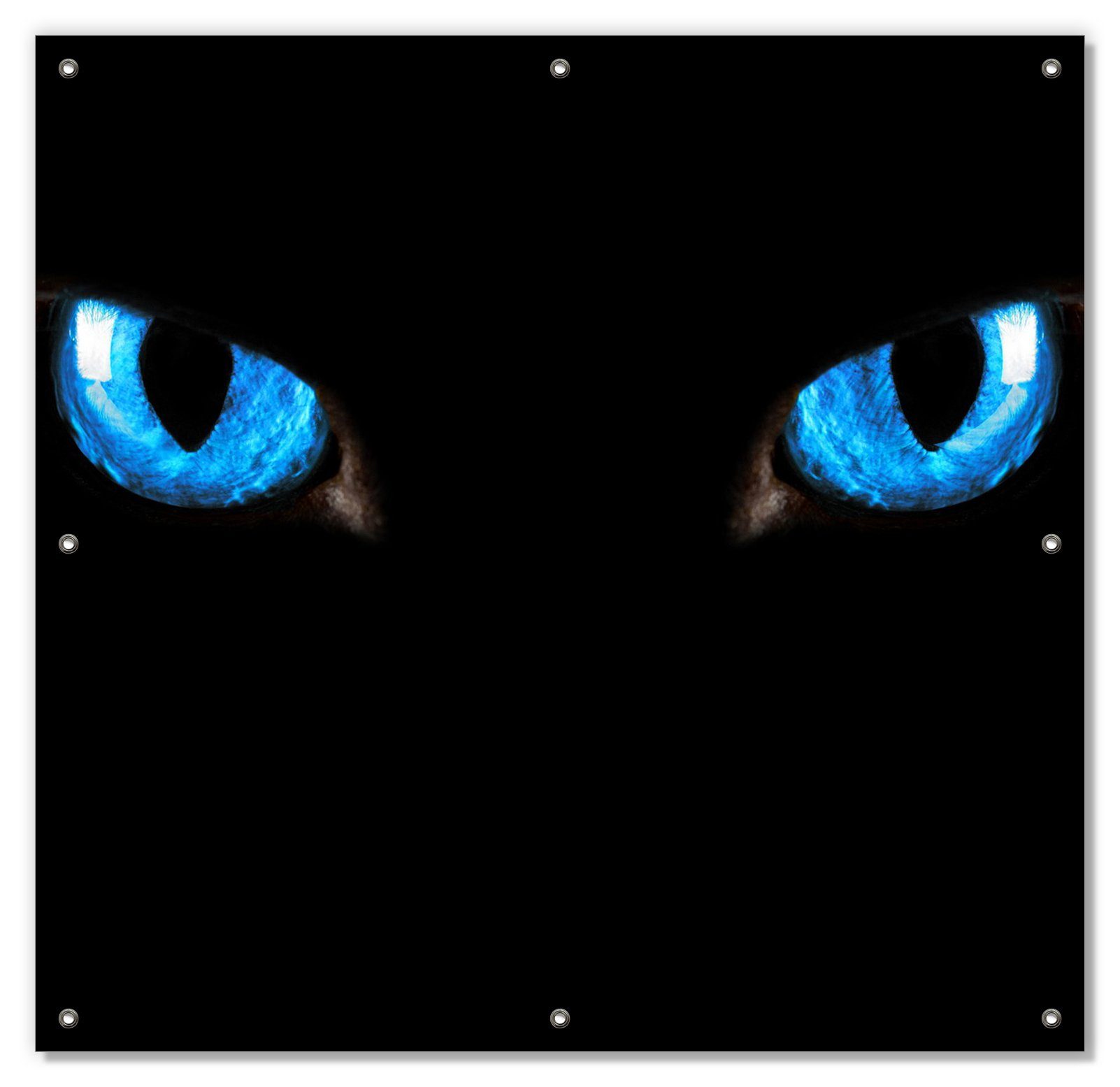 Sonnenschutz Blaue Katzenaugen bei Nacht, Wallario, blickdicht, mit Saugnäpfen, wiederablösbar und wiederverwendbar