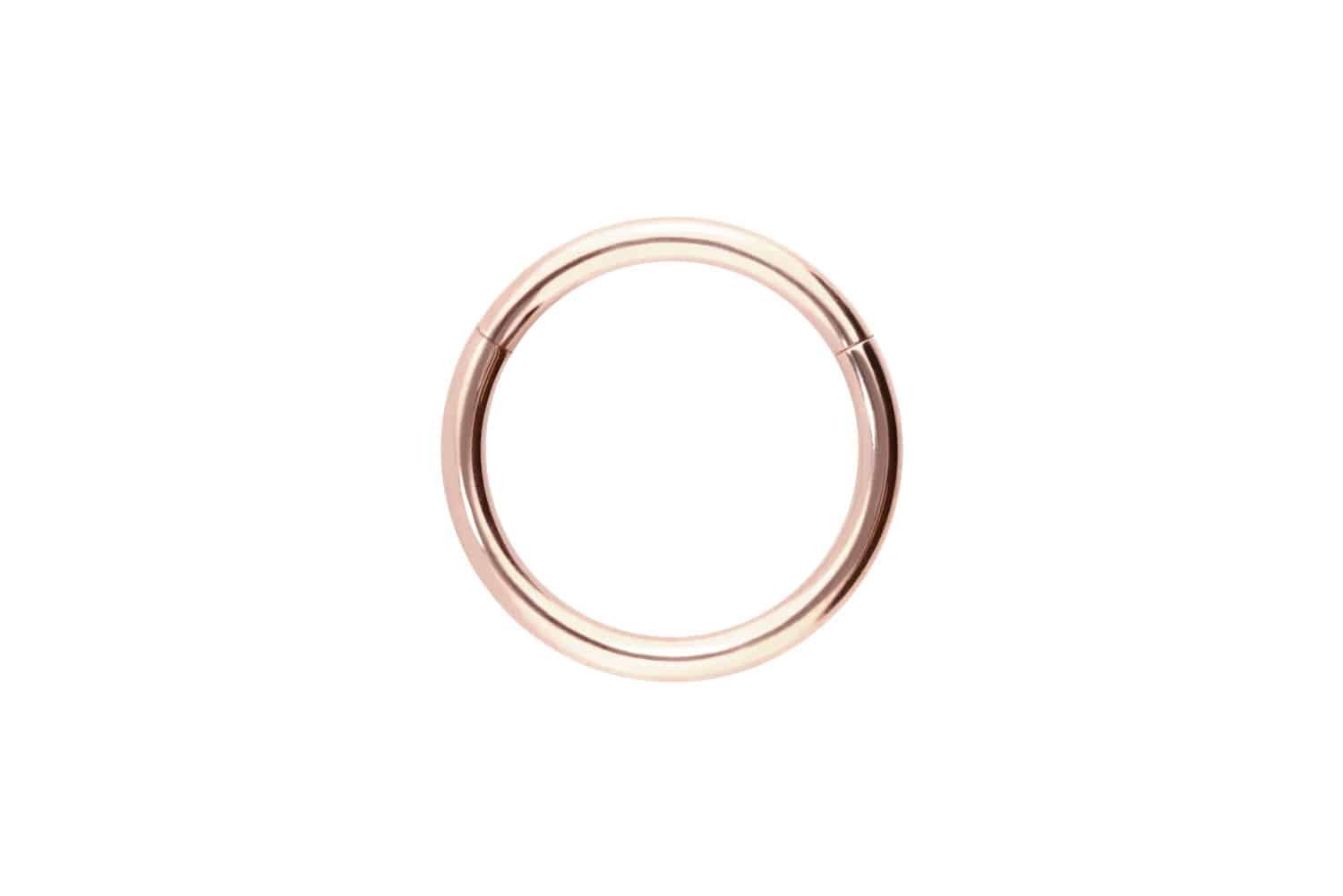 PIERCINGLINE Piercing-Set 14/18 Karat Gold Segmentring günstig online kaufen
