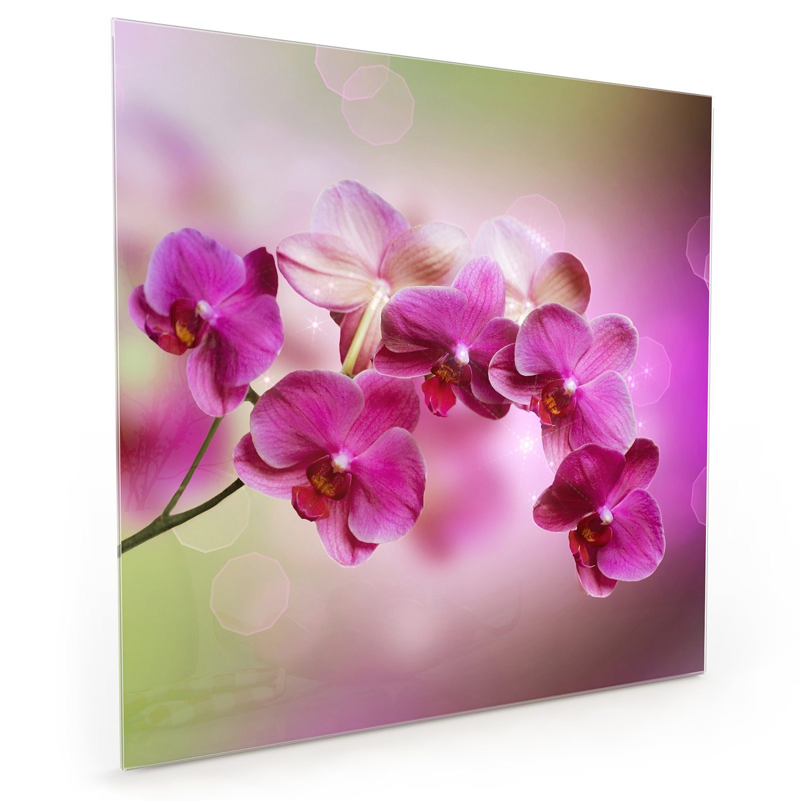 Primedeco Küchenrückwand Spritzschutz Glas Orchideenzweig mit Schatten