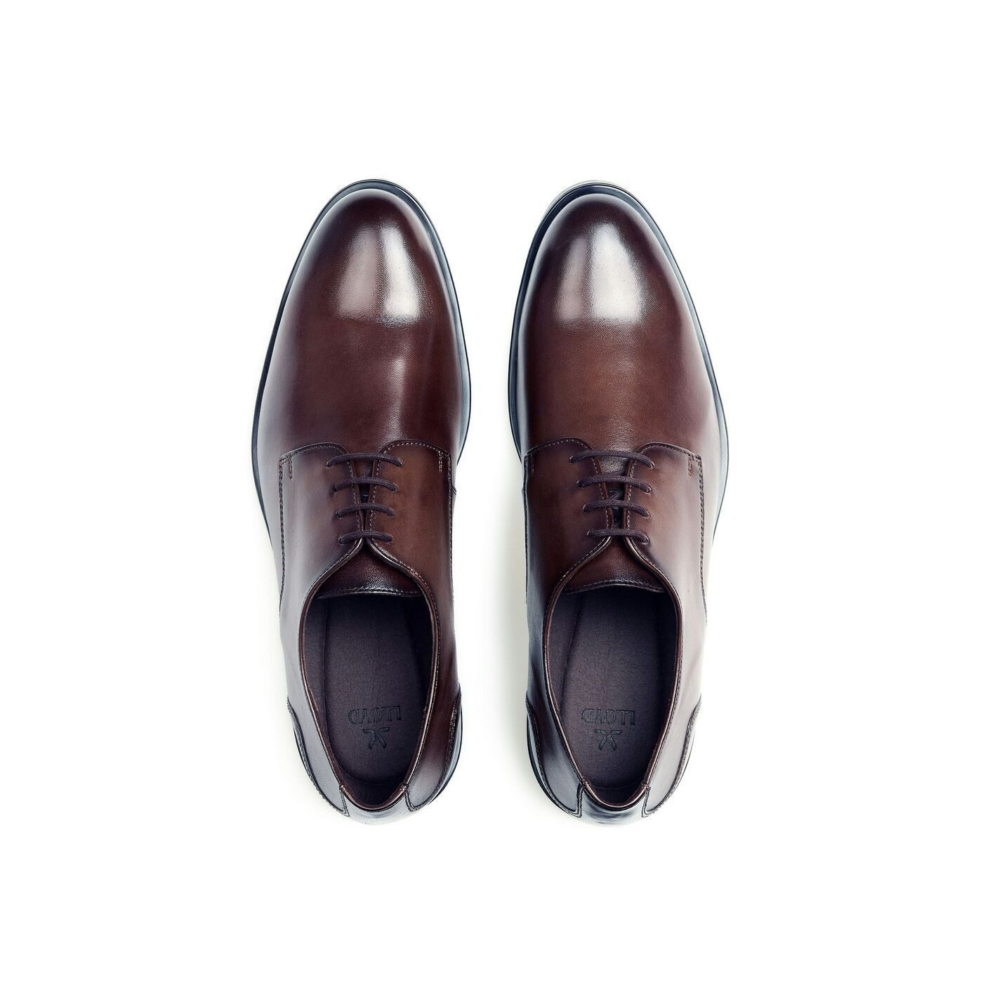 Lloyd EEZY 110 Schnürschuh