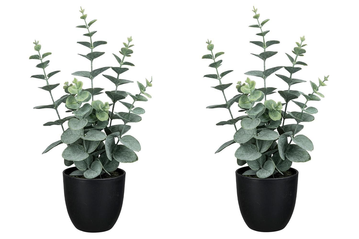 Kunstpflanze Eukalyptus im Topf NELE, H 38 cm, Grün, Eukalyptus, Gasper, Hö günstig online kaufen