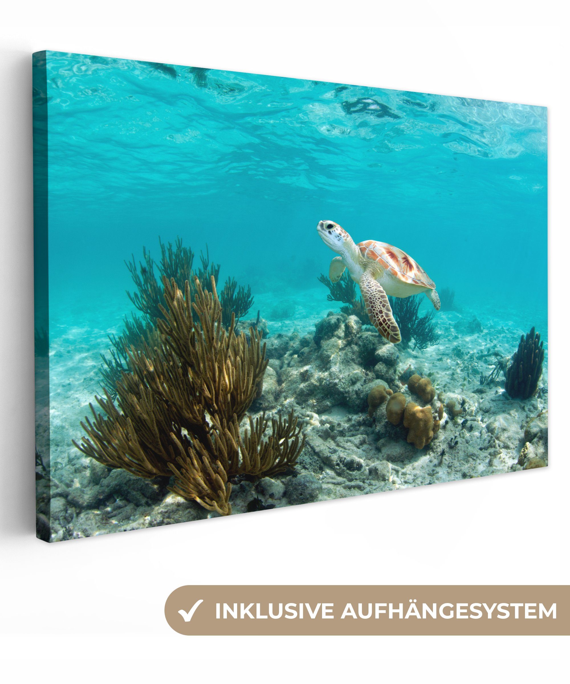 OneMillionCanvasses® Leinwandbild Korallenriff von Tulum in Mexiko, (1 St), Wandbild Leinwandbilder, Aufhängefertig, Wanddeko, 30x20 cm