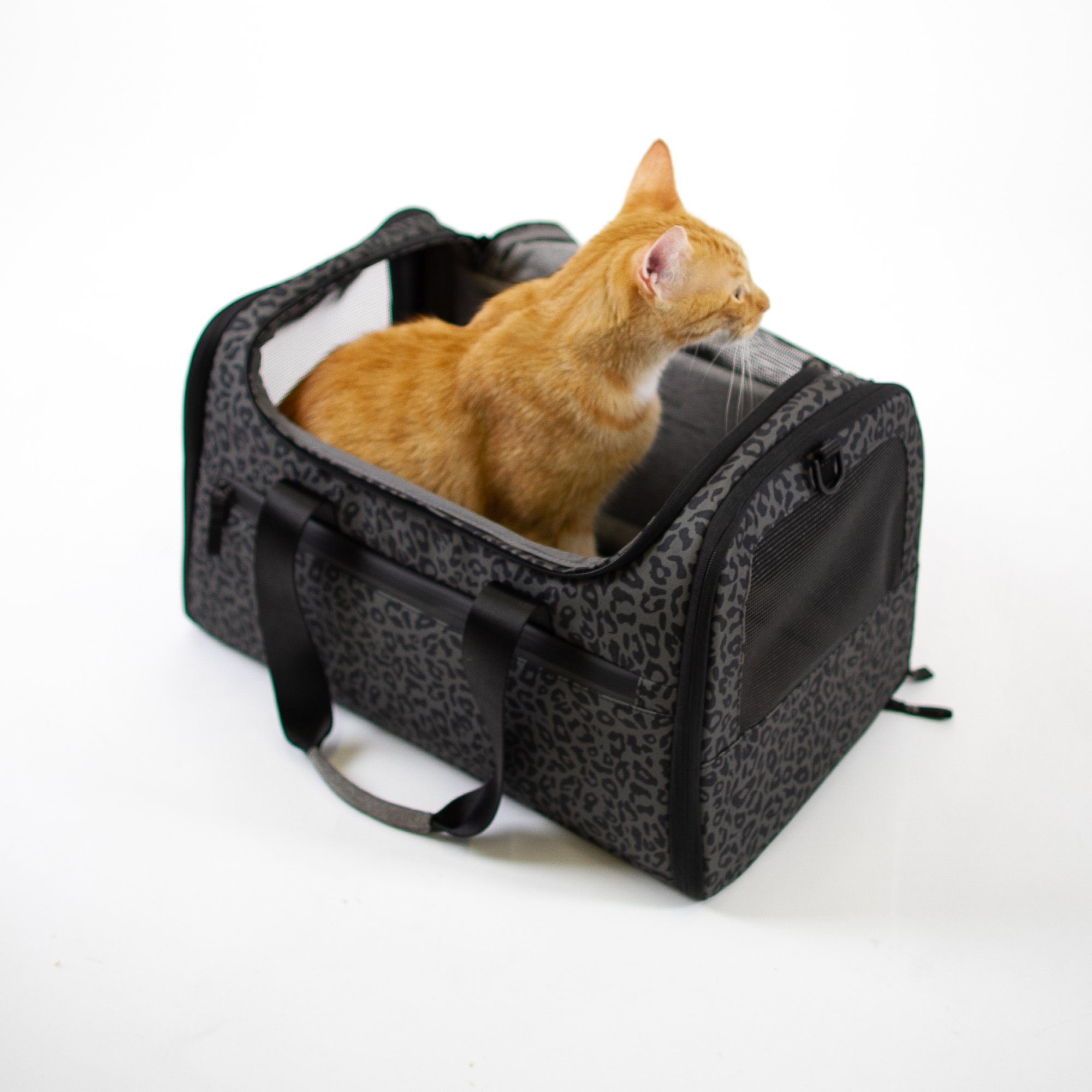 LucyBalu Tiertransporttasche Designer Katzentransporttasche, Tragetasche für Katzen mit Fenster bis 10,00 kg