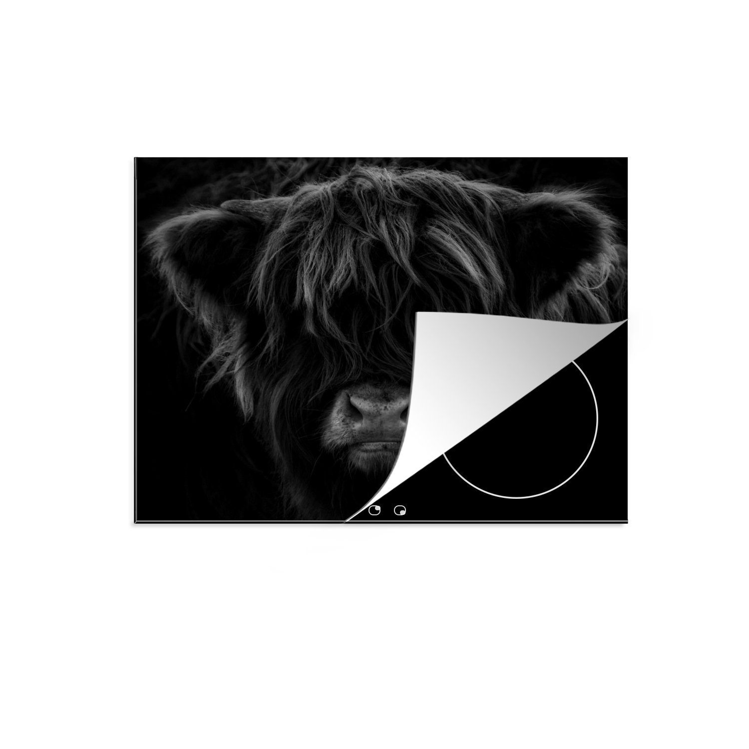 MuchoWow Herdblende-/Abdeckplatte Schottischer Highlander - Kuh - Schwarz - Weiß - Porträt, Vinyl, (1 tlg), 60x52 cm, Mobile Arbeitsfläche nutzbar, Ceranfeldabdeckung Schottisches Hochlandrind - Dunkel