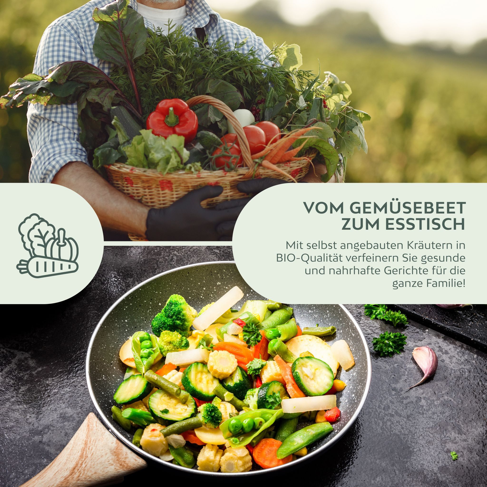 Growgreens Gemüsesamen BIO Gemüsesamen Set (10 Sorten) - Anzuchtset aus biologischem Anbau, Gemüse
