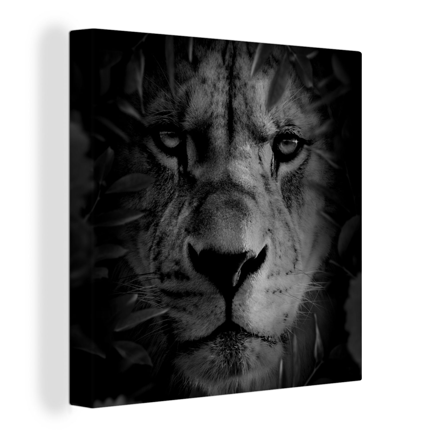 OneMillionCanvasses® Leinwandbild Tiere - Löwe - Natur - Schwarz - Weiß, (1 St), Leinwand Bilder für Wohnzimmer Schlafzimmer | Leinwandbilder
