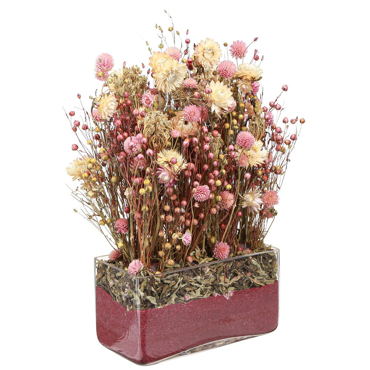 Trockenblume Trockenblumen Set Pink Klee Strohblumen Dill Flachs 35cm 150g Deko