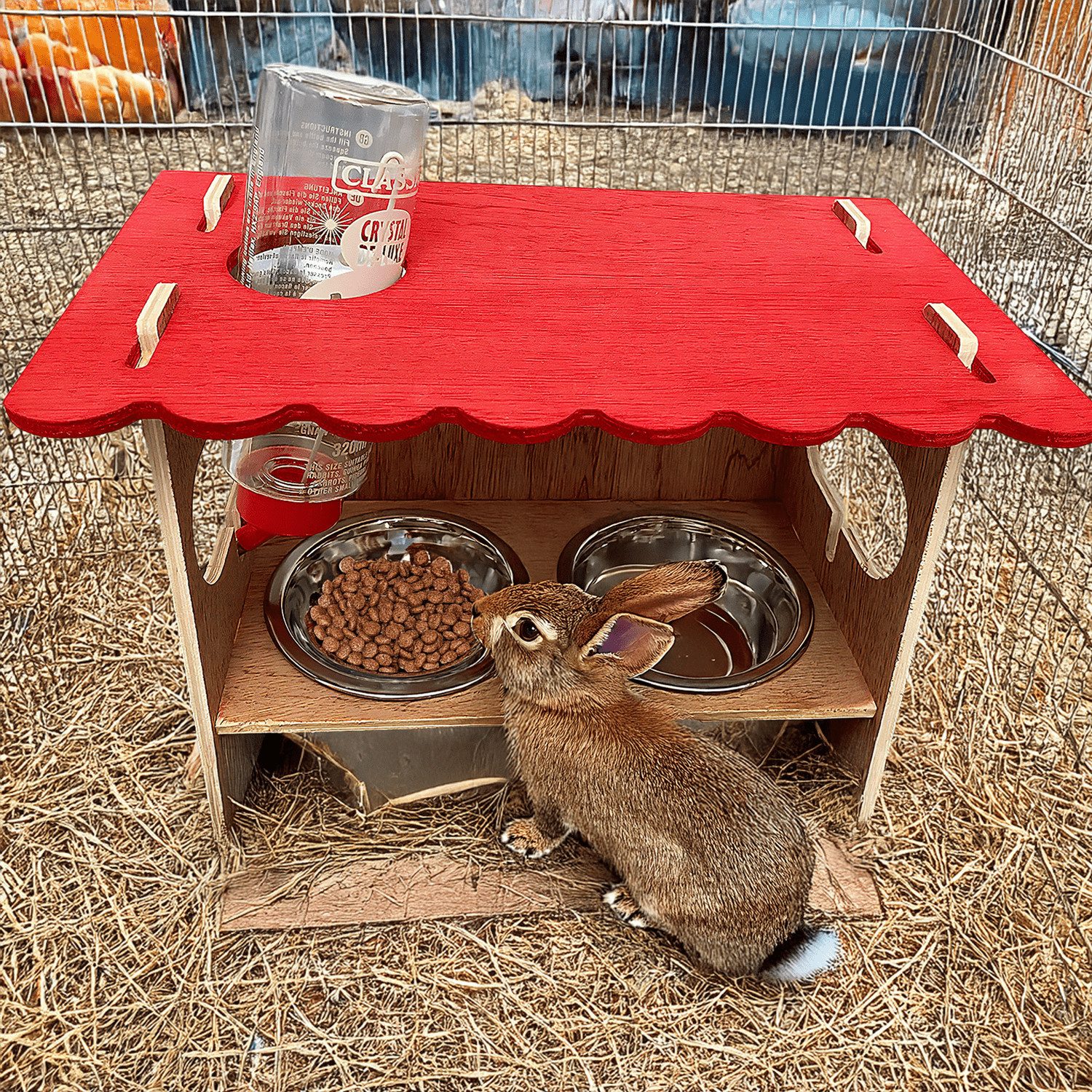 Ollesch Nagerhaus Futterstation SNACKBAR LARGE inkl. Nagertränke Neu