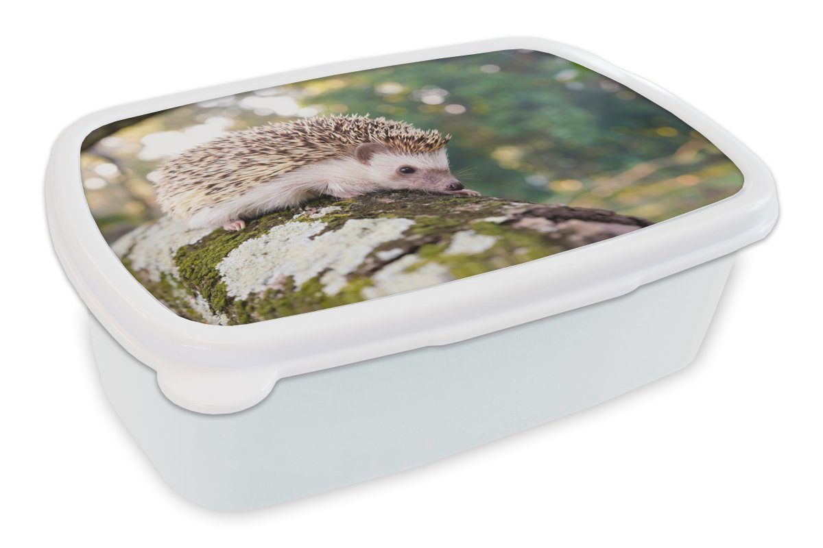 MuchoWow Lunchbox Kriechender Kunststoff, einem Brotbox auf Igel und Mädchen (2-tlg), weiß Erwachsene, Kinder Brotdose, für Ast, für Jungs und