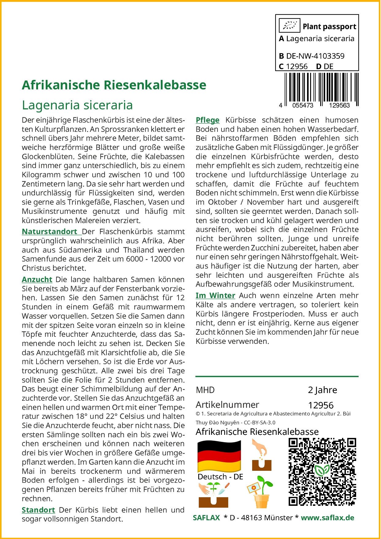 SAFLAX Blumensamen SAFLAX - Afrikanische Riesenkalebasse günstig online kaufen