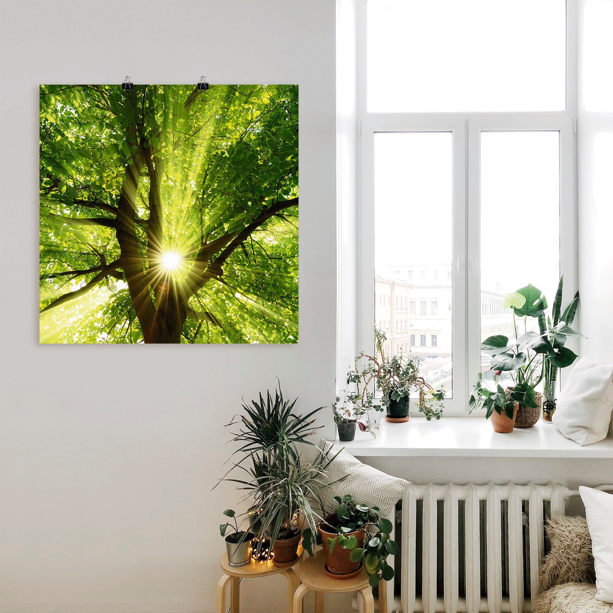 Artland Wandbild Sonne strahlt explosiv durch den Baum, Bäume (1 St), als Leinwandbild, Poster in verschied. Größen