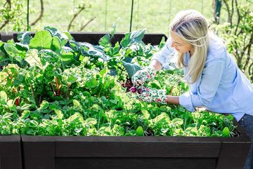 2friends Hochbeet Kräuterbeet für Garten, Terrase, Balkon (150x76x78 cm), 400 Liter Hochbeet Garten XL mit Staufächern